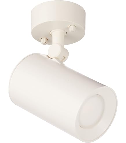 Amazon.co.jp: コイズミ照明 LEDアウトドアスポット(白熱球60W相当