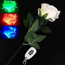 51AsGv4kNtL._AC_UL210_SR210,
