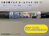 1本あたり630円！ 穴あき黒マルチ ホールマルチ [9515] 0.02mm×95cm×50m [穴径45mm×5条×株間15cm×条間15cm]（10本入）