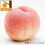 モモ(桃）：YD（ワイダイ）大玉白鳳[はくほう]4.5号ポット[矮性台木][晩生種] ノーブランド品