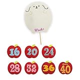 ノルコーポレーション メモリコ (memorico) 40Weeks フォトステッカー 安産のお守り わんこ