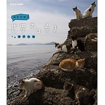 Amazon.co.jp: 岩合光昭の世界ネコ歩き スペシャル 京都の四季