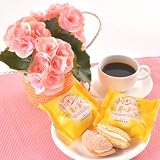 【お花とお菓子セット】リーガース鉢植(薄ピンク)とブッセのセット【お誕生日・お祝い・プレゼント】【お届け日時指定可】