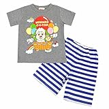 いないいないばあっ Tシャツ 短パン 半袖 スーツ パジャマ ワンワン ウータン 男の子 女の子 fo-inbaw11 95cm グレー
