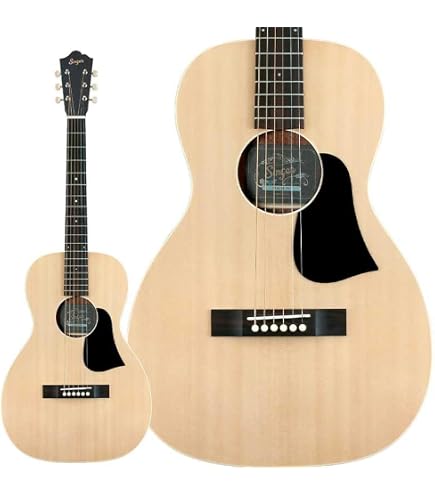 Amazon | aNueNue M20E エレアコギター Original Series アヌエヌエ