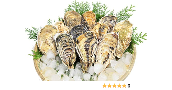Amazon 相生牡蠣 殻付き５ｋｇ 冷蔵便 漁師がお届け とれたて新鮮です 生食可 かき こだわりの牡蠣工房ふくえい 貝類 通販
