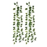 ReFaXi エバーグリーンのつるの二つ〔並行輸入品〕