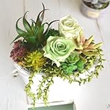 【ギフト】プリザーブドフラワー ローズ×多肉植物（フェイク）　[Green Plants] (寄せ植え)