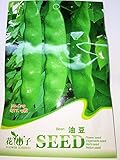 【 珍種子】　大型つるありインゲン豆　(15粒入)