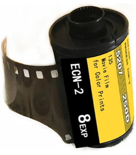 フィルムカメラ用フィルム Amazon | LyxosVee 35mm ECN-2 カラーフィルム ネガフィルム 35mm 8EXP