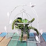 ヨーロッパの牧歌的な白い鉄の鳥のかごの花のポット花のポットガーデニングの装飾品