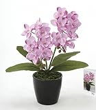 アートフラワー 造花 ミニオーキットL〔ミニタイプ〕フラワーアレンジメント インテリア 光触媒 花 スプレー インテリアグリーン 胡蝶蘭 消臭 大型