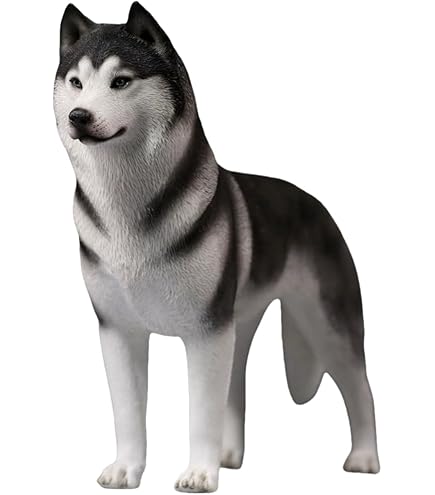 Amazon.co.jp: JXK 布団に入るシベリアンハスキー 独身のハスキー 犬