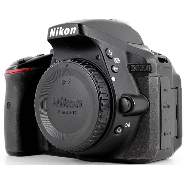 今すぐ使えるかんたんmini NikonD5300基本&応用 撮影ガイド | MOSH