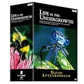 BBC ライフ・イン・ザ・アンダーグロウス/昆虫の世界 DVD-BOX