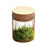 (観葉) 苔Terrarium ハイゴケ コルクボトル ミニ 説明書付 テラリウムキット 本州・四国限定[生体]