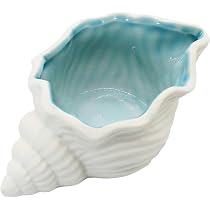 Amazon｜Funriche 貝殻 インテリア 小物入れ 西海岸風 かわいい