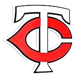 NFL Minnesota Twins TC Foam Wall Sign、ワンサイズ、ブラック