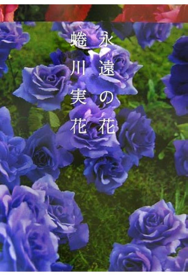 trans-kyoto[写真集] 蜷川実花写真集 Book