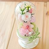 花由 プリザーブドフラワー 仏花 　ガラスドーム　羽乃花　～わのか～　こもも【お供え 仏花 仏壇 供花】