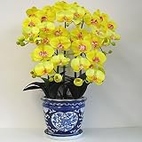 光触媒の胡蝶蘭 鉢植え 造花 アートフラワー Mサイズ-5本立 H70cm(黄-青のデザイン鉢)