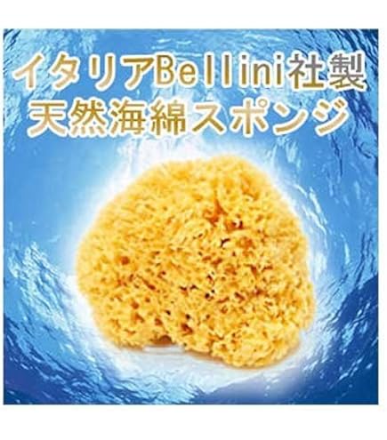 Amazon | ギリシャ産 天然海綿スポンジ 14cm ボディスポンジ | ボディ