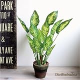 ディフェンバキア H48　造花 観葉植物 消臭 CT触媒 インテリア フェイクグリーン