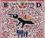 Blackbird