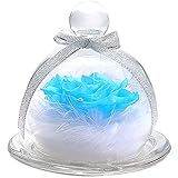 TEATSIGHT プリザーブドフラワー フラワーアレンジ ラッピング済み バラ スワロフスキー 羽根 (スカイブルー)