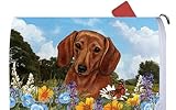 ダックスフンドレッド – Best of Breed Dog Breedメールボックスカバー