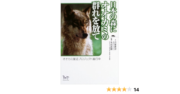 日本の森にオオカミの群れを放て オオカミ復活プロジェクト進行中 吉家 世洋 直樹 丸山 本 通販 Amazon
