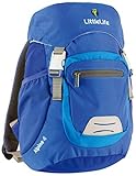 LittleLife Alpine 4 Kids Backpack (Blue) by LittleLife