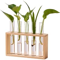木製スタンド 試験管スタイル 花瓶 6本セット Amazon.co.jp: Ailunate 花瓶 ガラス 試験管 フラワーベース 花瓶台