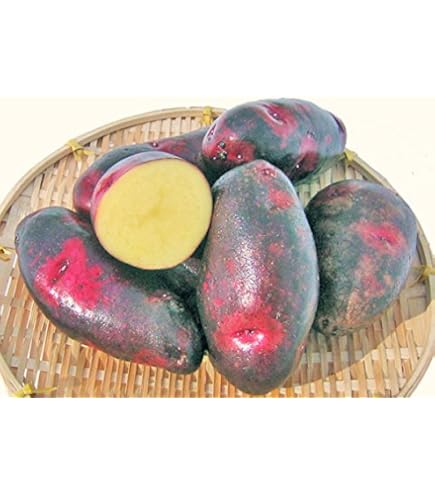 湯どうふ！長崎県産デストロイヤーじゃがいもML20㎏ 福満ファームのデストロイヤー | 野菜/じゃがいも 産直アウル 農家から