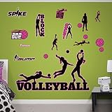 Fathead Volleyball Collection Real Decals [並行輸入品]