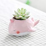 Liebeye 植木鉢 陶器 卓上 動物 装飾 多肉植物 フラワーポット 花器 多肉 インテリア 家飾り 飾り物 可愛い おしゃれ タイプ4