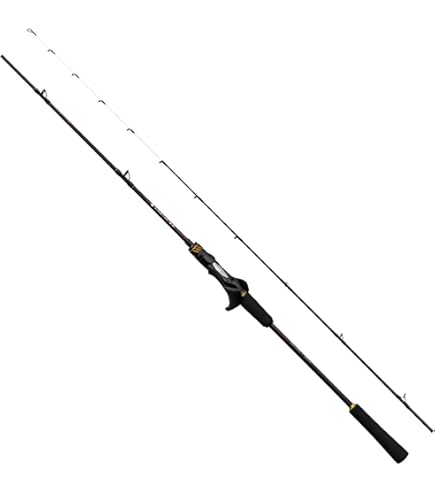 Amazon | シマノ(SHIMANO) タイラバ 両軸リール 23 エンゲツ