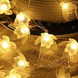 LEDHOLYT 2.5m LED 20灯 電池式 ジャスミン 花形 ストリングライト 室内室外 飾り クリスマス お祝いの日 庭園 植物 装飾 雰囲気作り イルミネーション (ウォームホワイト)