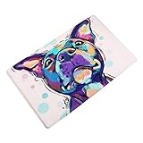 ノンスリップドアフロアマット、nomeni動物ホーム非スリップドアフロアマットHallラグキッチンバスルームカーペットDecor 40 * 60 cm NOMENI0122