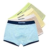 Lovoski 2枚　4-11歳　キッズ　男の子　綿　下着　ボクサーブリーフ　パンツ　ショーツ　ストライプ柄　快適　全5サイズ2色 - 青+緑, 160cm