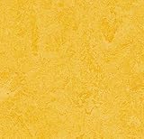 Forbo Marmoleum Realシートフローリング5平方ヤードto beカットの79 " Wide Roll – からiDecor。(チェックサイズのイメージ） – Lemon Zest 32