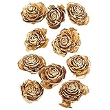 東京堂 ドライフラワー シダローズ(10コ入り) DE010589