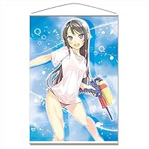 タペストリー 「青春ブタ野郎はバニーガール先輩の夢を見ない」 Amazon.co.jp: 青ブタ 再放送記念 解説本 青春ブタ野郎はバニー