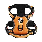 IVY&LANE 犬用ハーネス 喉に優しい 小型犬、中型犬、大型犬用 調節可能 夜間反射材 通気性 引っ張り防止 簡単着脱 散歩 犬 ハーネス 柴犬 秋田犬 訓練 ドッグ 胴輪 (オレンジ, XL)