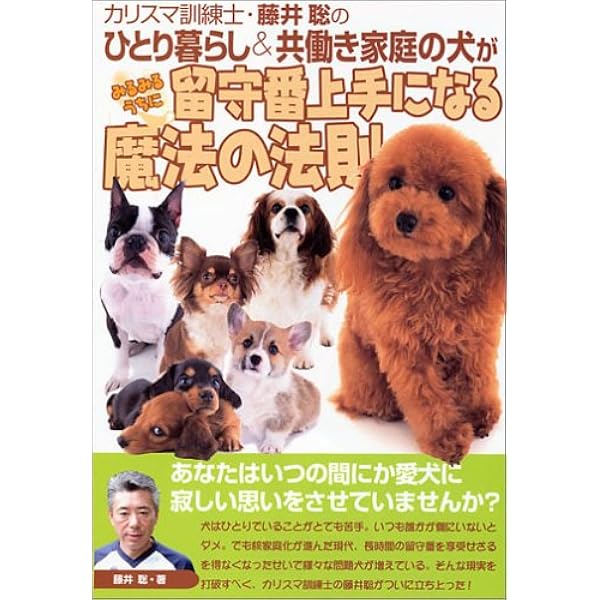 カリスマ訓練士 藤井聡のひとり暮らし 共働き家族の犬がみるみるうちに留守番上手になる魔法の法則 聡 藤井 藤井 聡 本 通販 Amazon