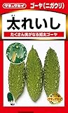 タキイ種苗 ゴーヤ(ニガウリ) 太れいし