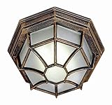 Trans Globe Lighting PL-40582 RT Rust Outdoor Bulk Head Light [並行輸入品]