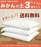 【3袋セット販売】 みかんの土 （肥料入り） （42L） 常緑果樹専用 培養土