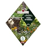 [樹木の根元など日陰の場所に！春・秋まき 花タネ]ツリーズオブフィートミックス 1袋