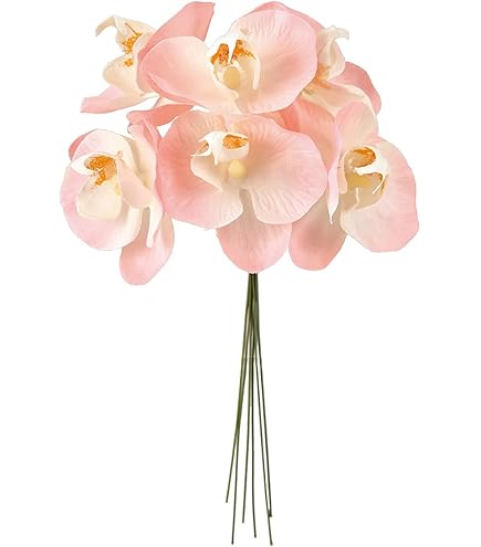 Amazon｜□胡蝶蘭キャスケードブーケ 白/ピンク 結婚式 ウェディング